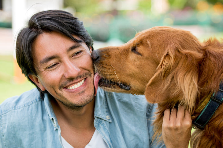 5 Common Mistakes Dog Owners Make (And How to Avoid Them)